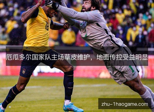 厄瓜多尔国家队主场草皮维护，地面传控受益明显
